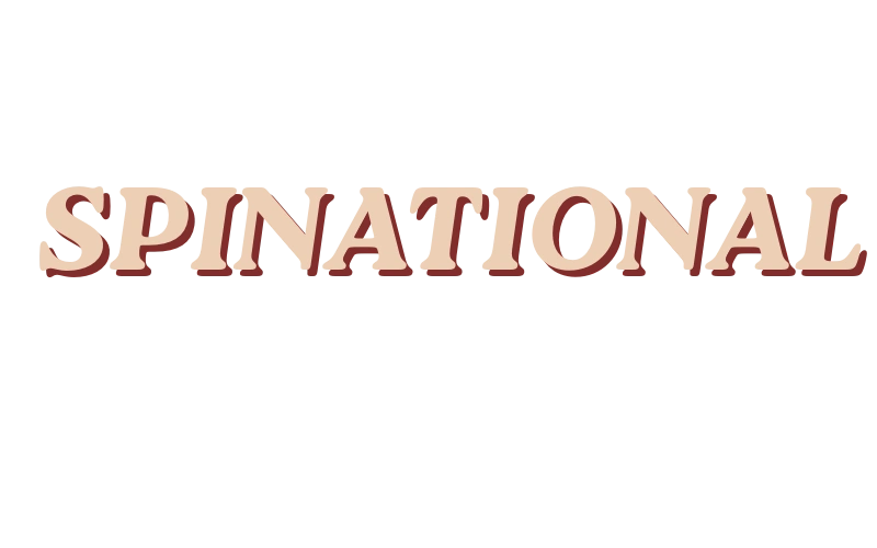 Spinational Casino Logo